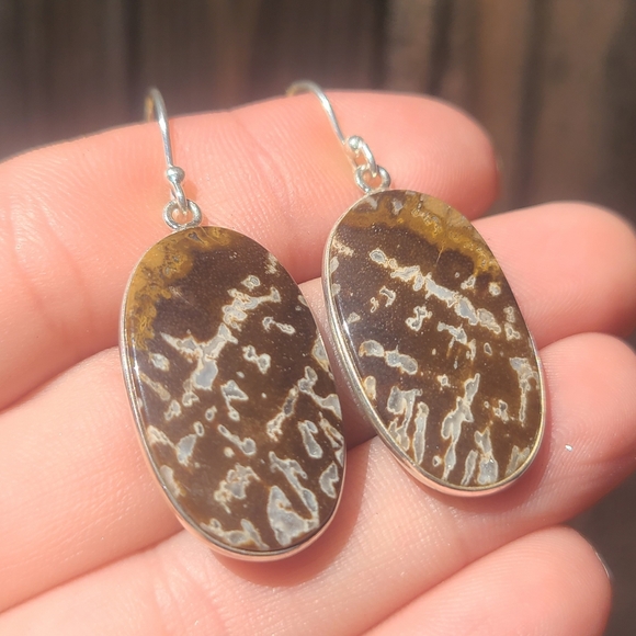 Palm Root Fossil Agate 925 Earrings - Picture 2 of 5